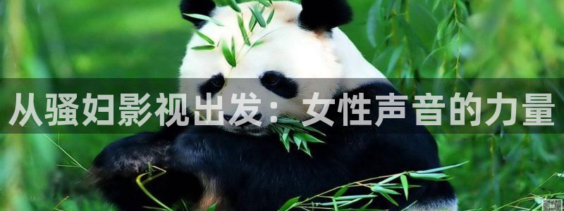 久久午夜桃子影院