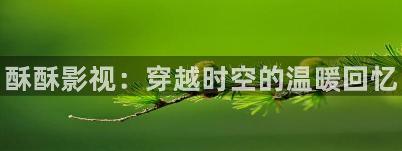 桃子影院电视剧在线播放