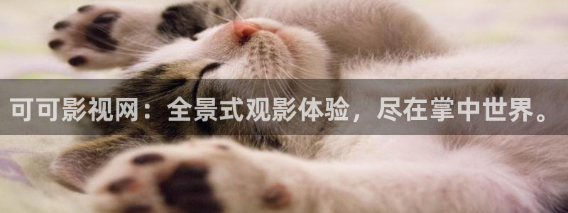 左手吃斋桃子影视